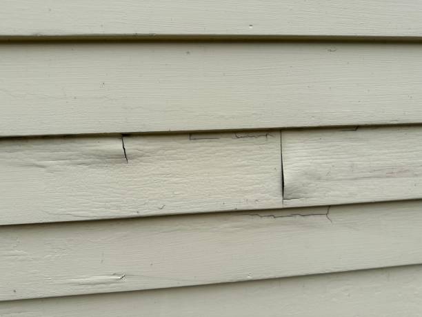 Best Siding Removal and Disposal  in Pacific Grove, CA